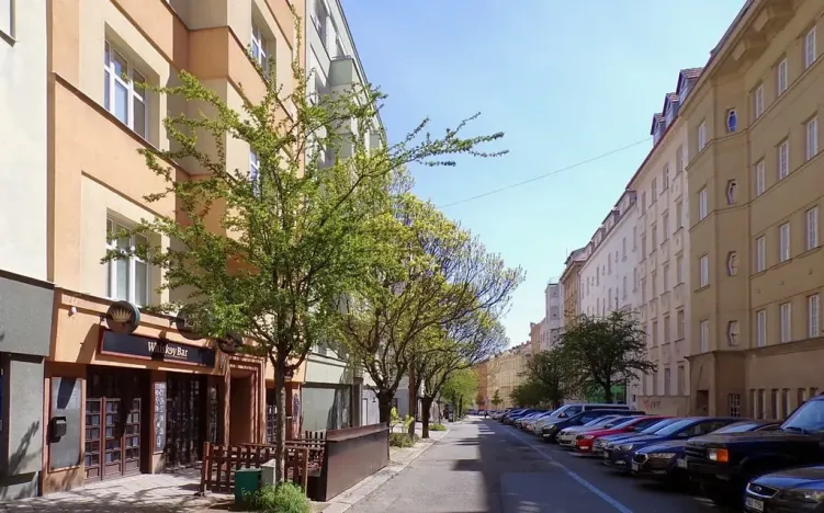 Pronájem bytu 2+1, Brno, Gorkého, 45 m2