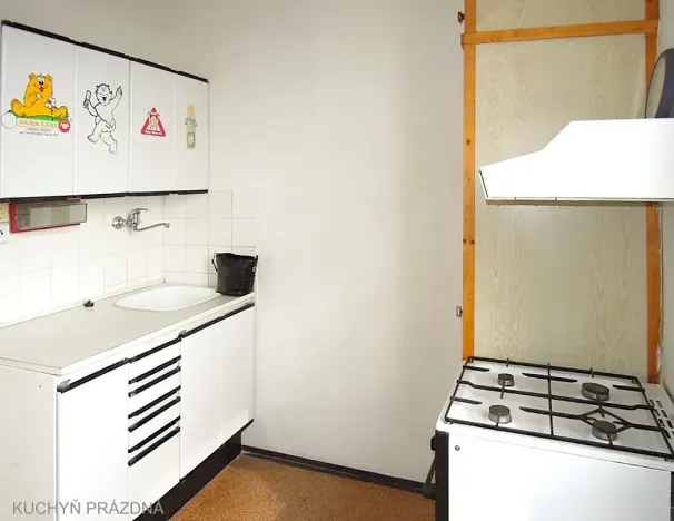 Pronájem bytu 2+1, Brno, Gorkého, 45 m2