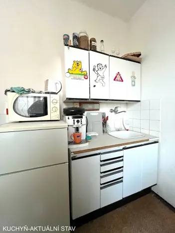 Pronájem bytu 2+1, Brno, Gorkého, 45 m2