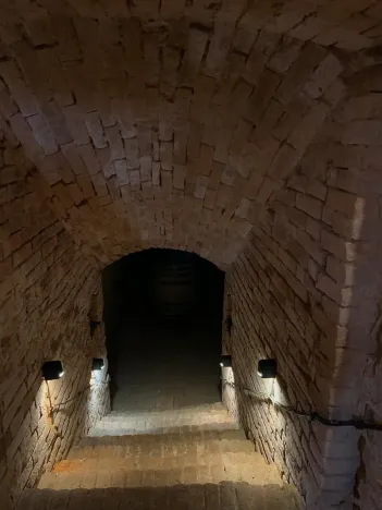 Prodej vinného sklepa, Čejkovice, 66 m2