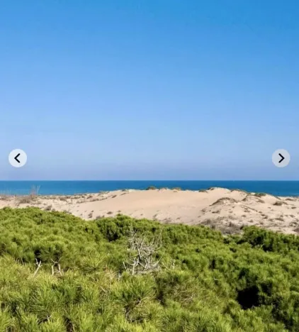 Prodej bytu 3+1, Guardamar Del Segura, Costa Blanca, Provincie Alicante, Španělsko, 52 m2