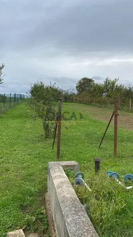 Prodej rodinného domu, Moravany, 120 m2