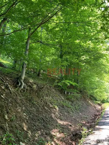 Prodej lesa, Třinec, 102143 m2