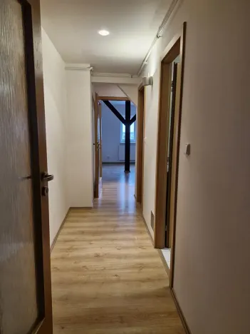 Pronájem bytu 2+kk, Praha - Bubeneč, Malířská, 95 m2