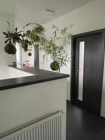 Prodej bytu 3+kk, Jihlava, Dělnická, 76 m2