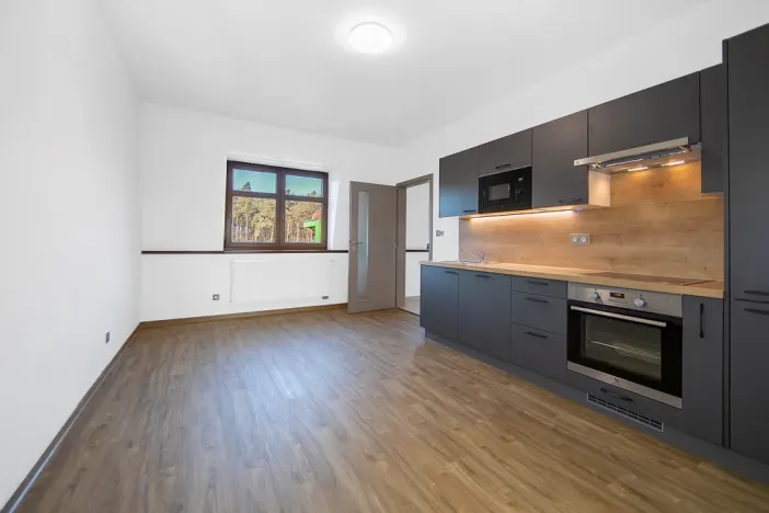 Pronájem bytu 1+1, Plzeň - Severní Předměstí, Bolevecká, 51 m2