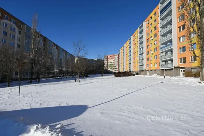 Pronájem bytu 2+kk, Most, Františka Malíka, 40 m2