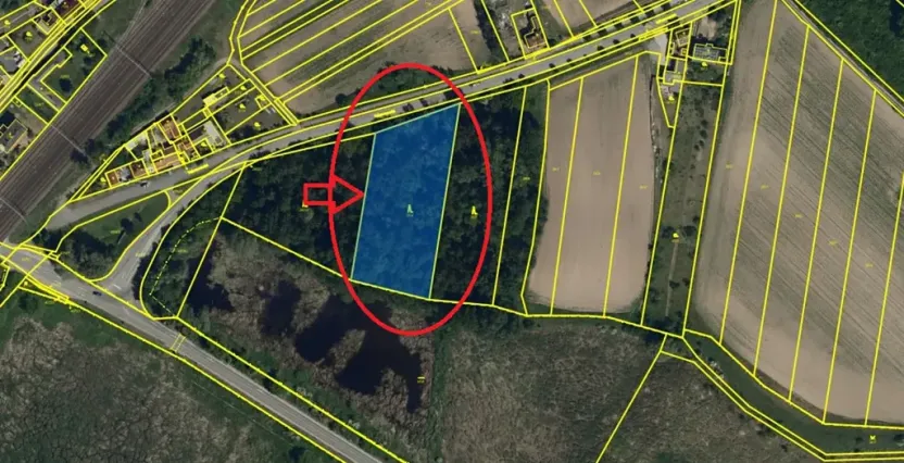 Prodej lesa, Moravský Písek, 4838 m2