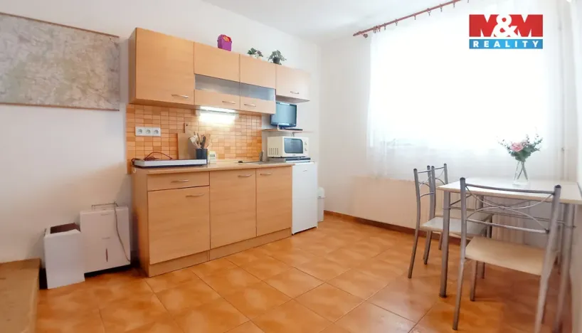 Prodej rodinného domu, Staré Město pod Landštejnem, 200 m2