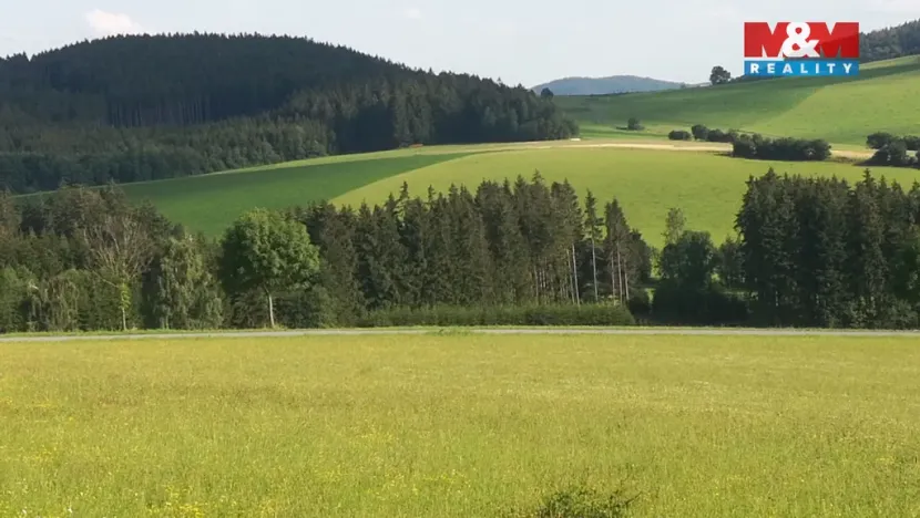 Prodej ubytování, Borušov - Svojanov, 1890 m2