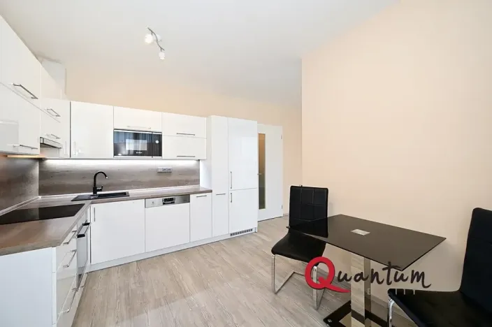 Pronájem bytu 1+kk, Praha - Žižkov, Olgy Havlové, 38 m2