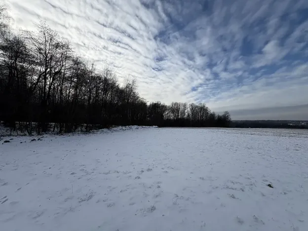 Prodej louky, Bruzovice, 94427 m2