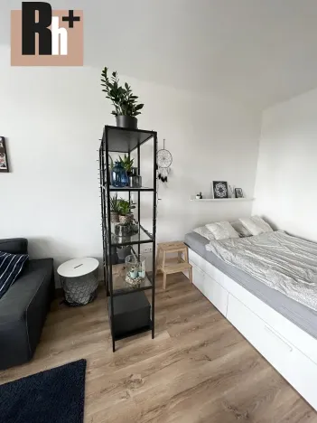 Pronájem bytu 1+1, Ostrava, Opavská, 35 m2