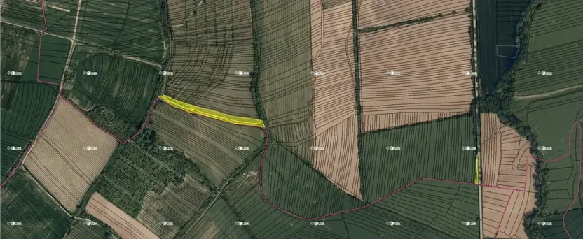 Prodej podílu pole, Boršice, 8735 m2