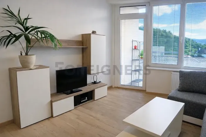 Pronájem bytu 1+kk, Brno, Vídeňská, 32 m2
