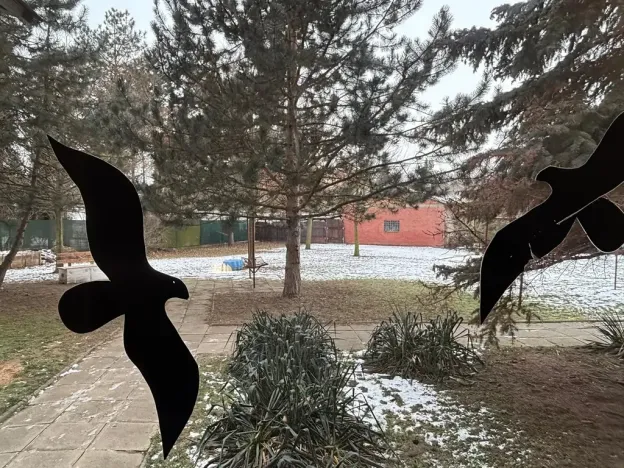 Pronájem bytu 3+1, Olomouc, Přichystalova, 65 m2