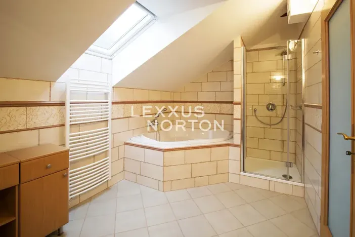 Pronájem bytu 4+kk, Praha - Vinohrady, Havlíčkovy sady, 170 m2