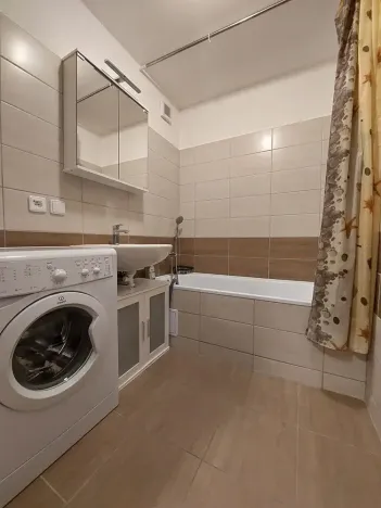 Pronájem bytu 1+1, Brno, Okrouhlá, 45 m2