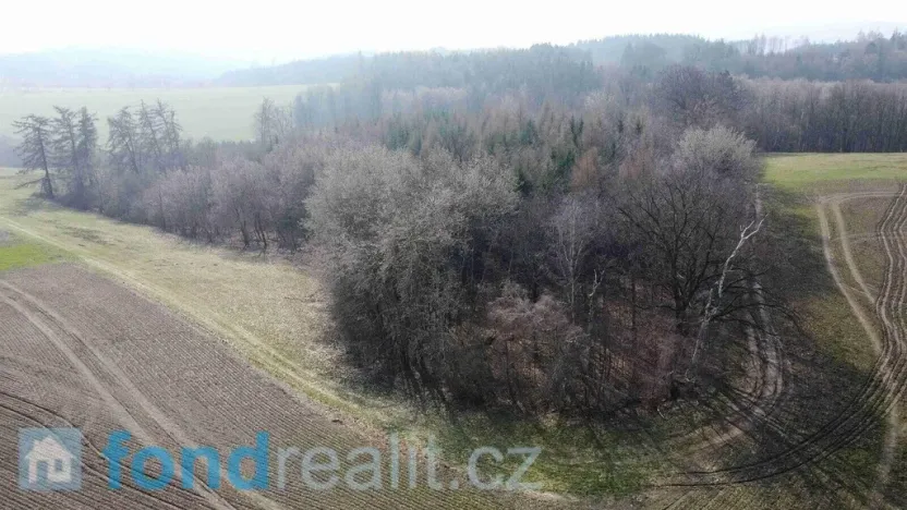 Prodej pole, Krchleby, 7831 m2