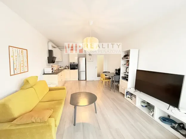 Prodej bytu 2+kk, Brno, U Červeného mlýna, 57 m2