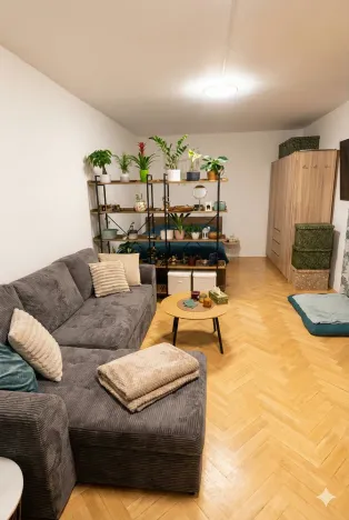 Prodej bytu 1+1, Olomouc - Nová Ulice, Pionýrská, 45 m2