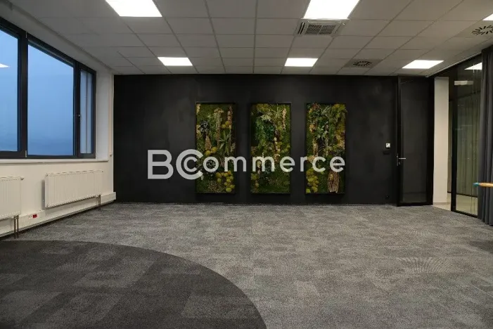 Pronájem kanceláře, Brno, Vídeňská, 555 m2