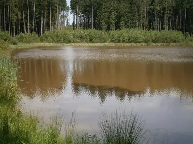 Pronájem rybníku, Sklené nad Oslavou, 10645 m2