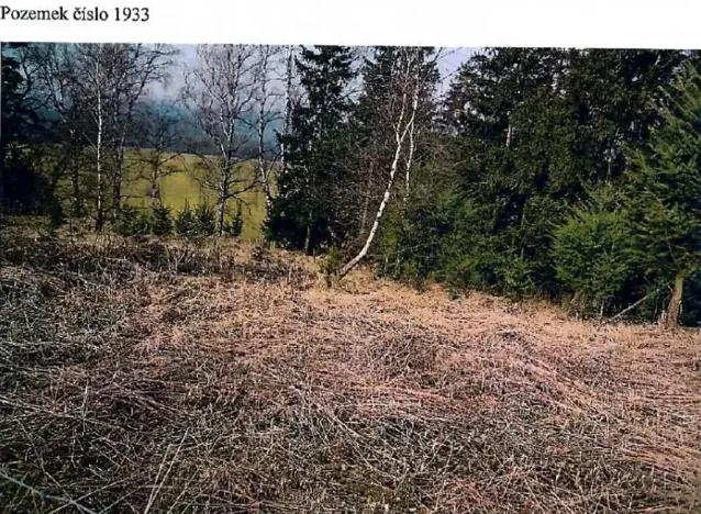 Prodej lesa, Kamenice nad Lipou, 5521 m2