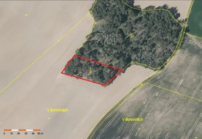 Prodej lesa, Nárameč, 1809 m2