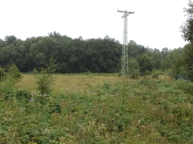 Dražba louky, Meziměstí, 28977 m2