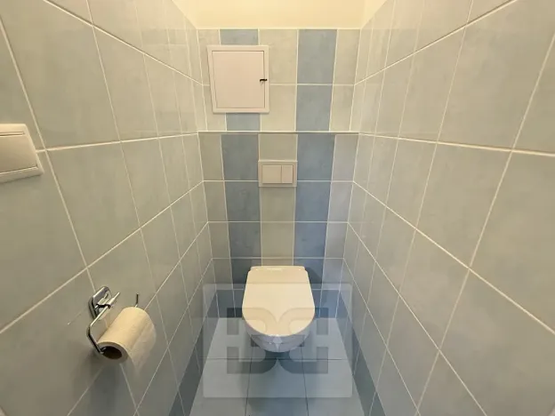 Pronájem bytu 3+kk, Klecany, V Honech, 63 m2