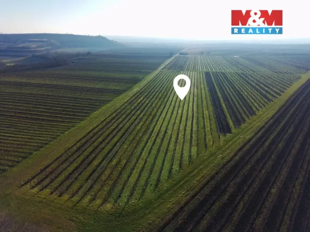 Prodej pole, Velké Bílovice, 3600 m2