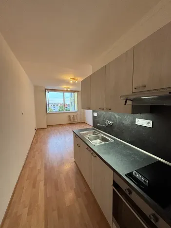 Pronájem bytu 1+kk, Veselí nad Moravou, Chaloupky, 30 m2