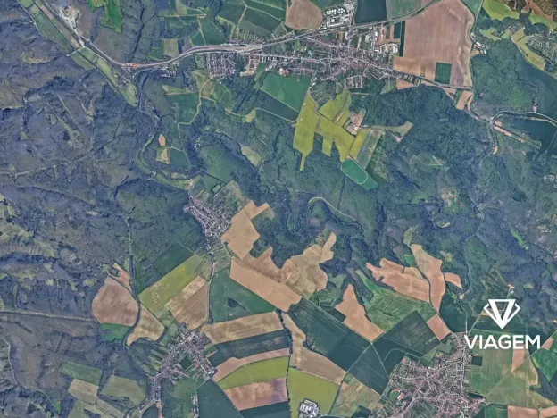 Prodej lesa, Radostice, 2524 m2