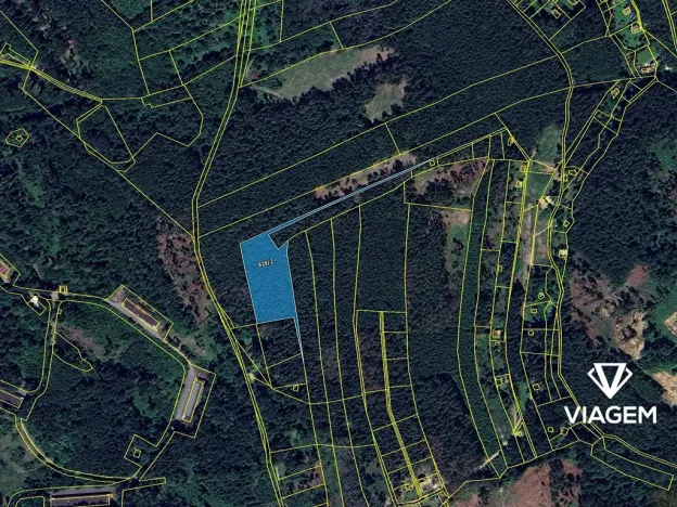 Prodej podílu lesa, Psáry, 2001 m2