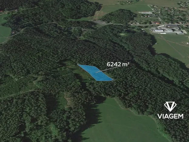 Prodej lesa, Loužnice, 6242 m2