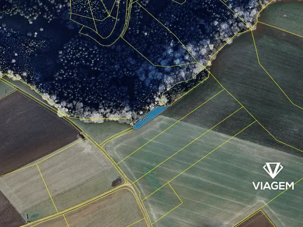 Prodej pole, Rybná nad Zdobnicí, 1089 m2