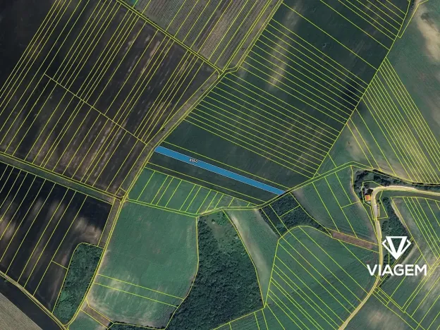 Prodej podílu pole, Velké Pavlovice, 1786 m2