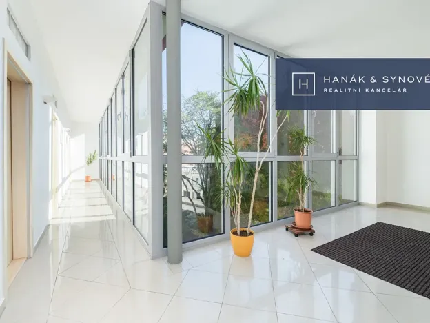 Pronájem bytu 2+1, Brno, Anenská, 50 m2