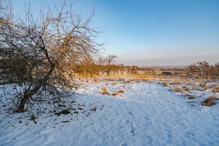 Prodej pozemku pro bydlení, Morašice, 2087 m2