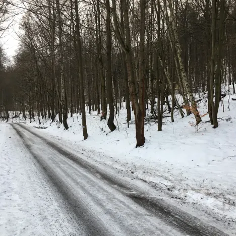 Prodej pozemku, Kadaň, 3903 m2