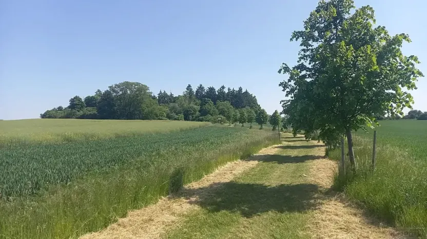 Prodej pole, Čestlice, Říčanská, 678 m2