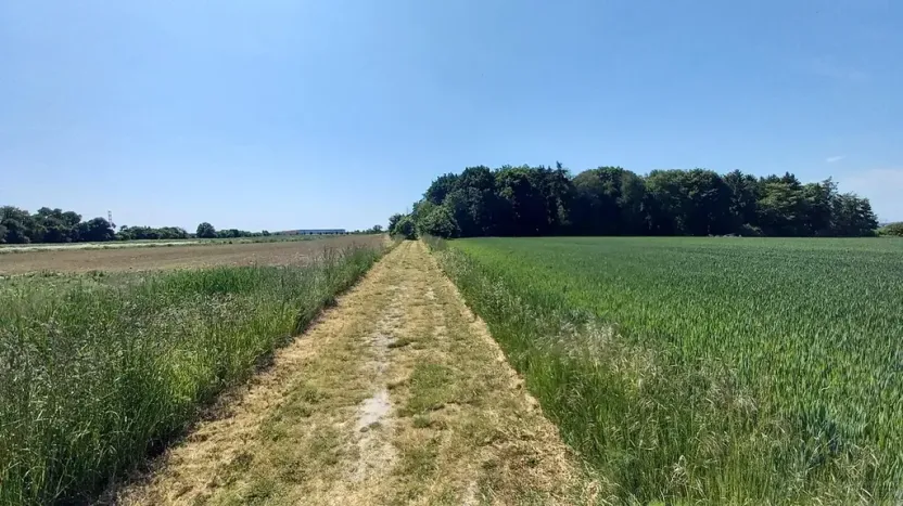 Prodej pole, Čestlice, Říčanská, 678 m2