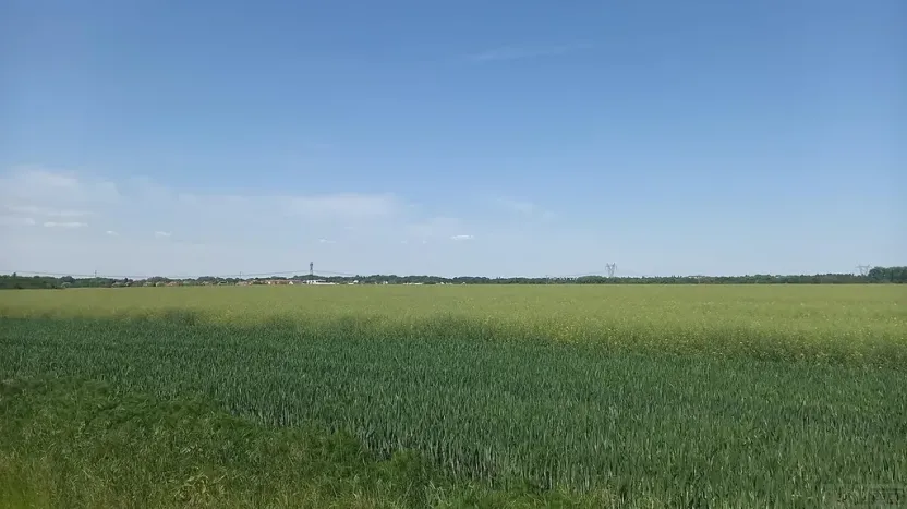 Prodej pole, Čestlice, Říčanská, 3118 m2