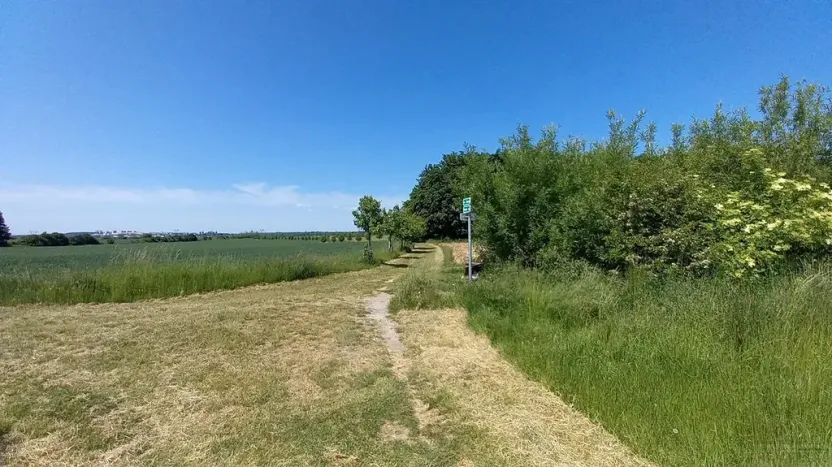 Prodej pole, Čestlice, Říčanská, 3118 m2