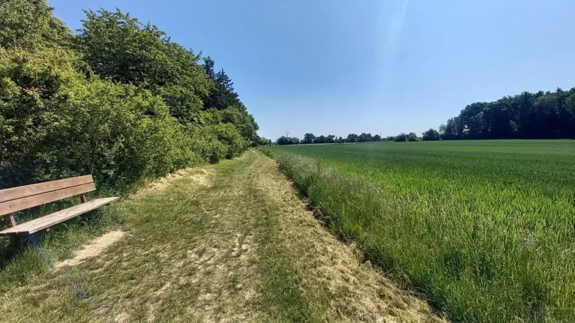 Prodej pole, Čestlice, Říčanská, 480 m2