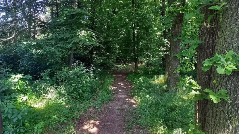 Prodej pole, Čestlice, Říčanská, 480 m2