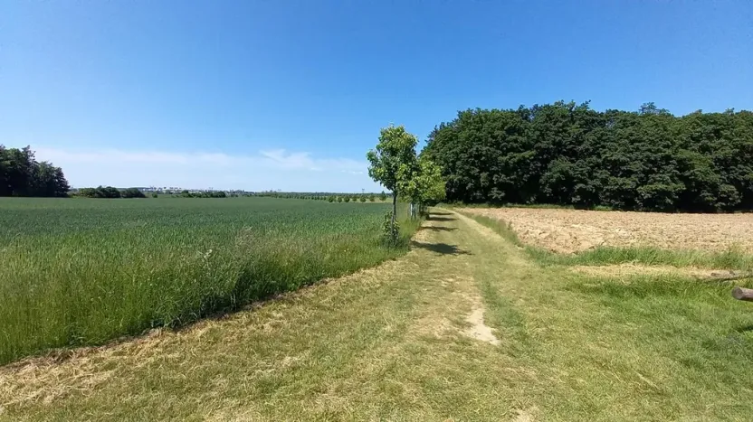 Prodej pole, Čestlice, Říčanská, 480 m2