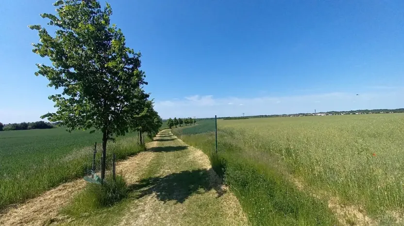 Prodej pole, Čestlice, Říčanská, 480 m2