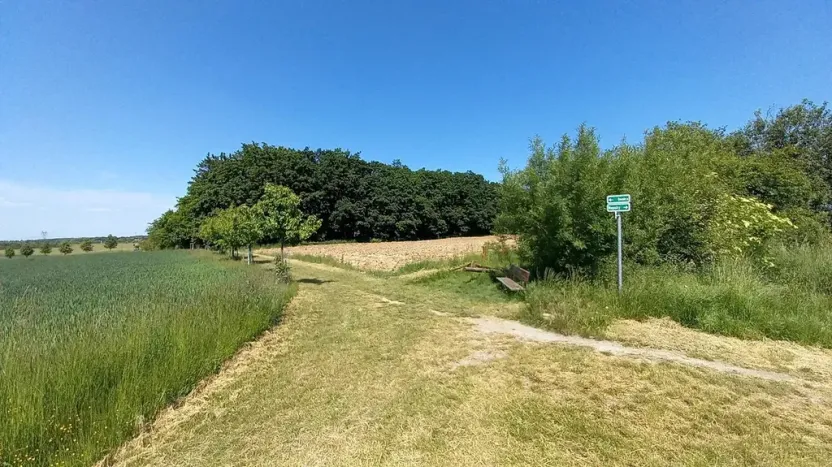 Prodej pole, Čestlice, Říčanská, 480 m2